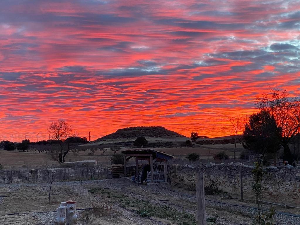 Finca Las Botas Almansa Εξωτερικό φωτογραφία