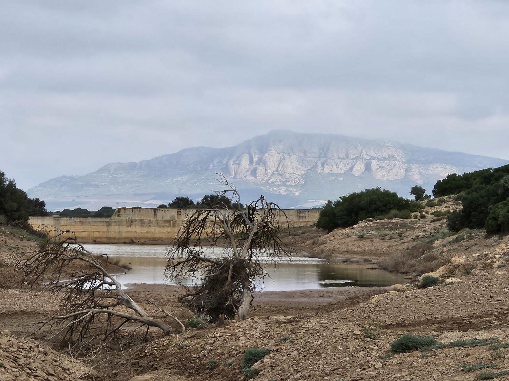 Finca Las Botas Almansa Εξωτερικό φωτογραφία