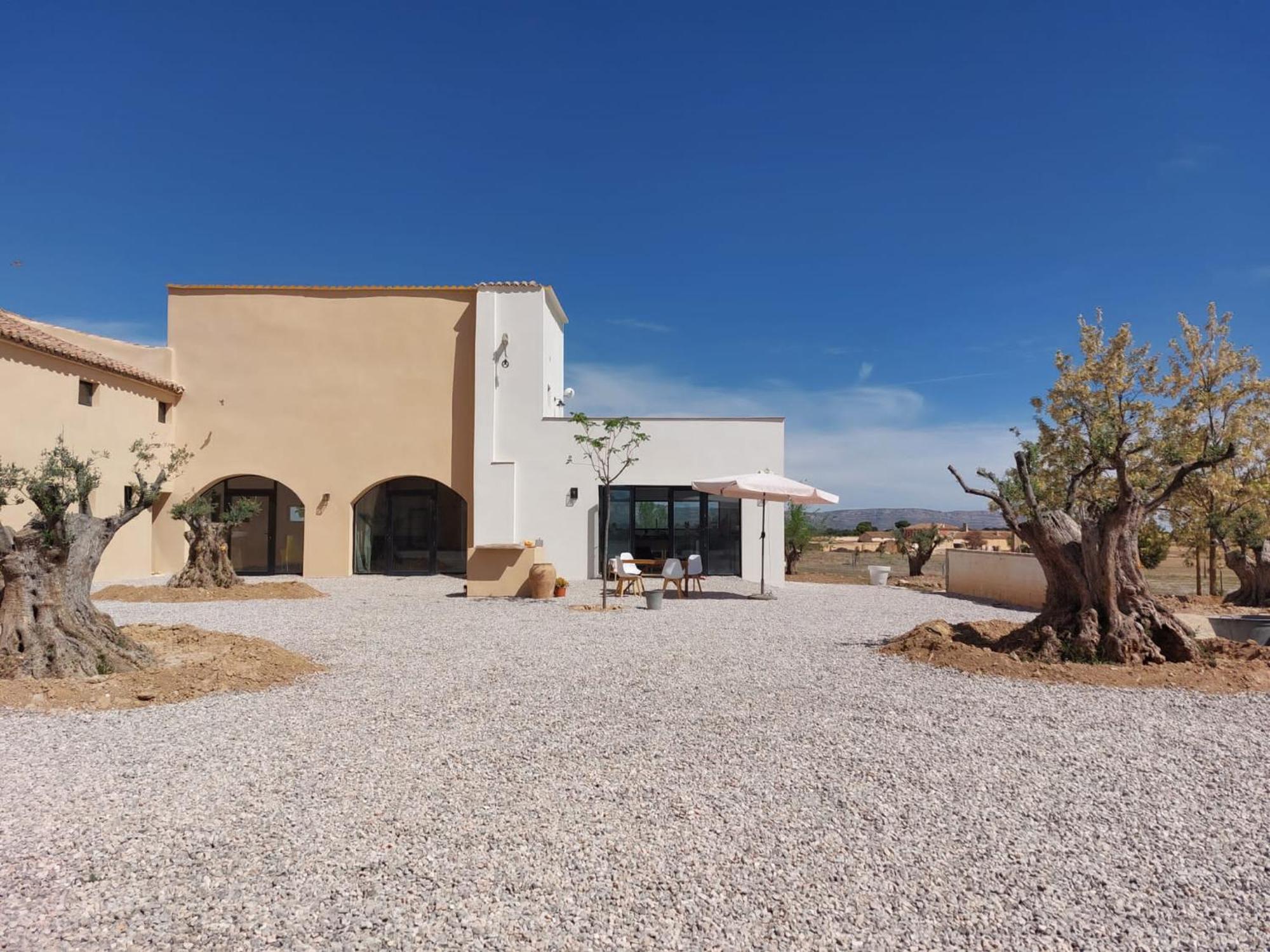 Finca Las Botas Almansa Εξωτερικό φωτογραφία
